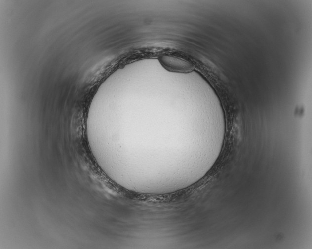 X0000112041014200908241557