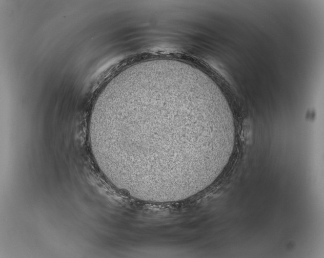 X0000112041015200908241557