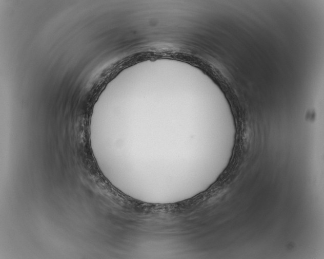 X0000112041016200908241557