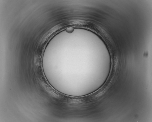 X0000112041017200908241557