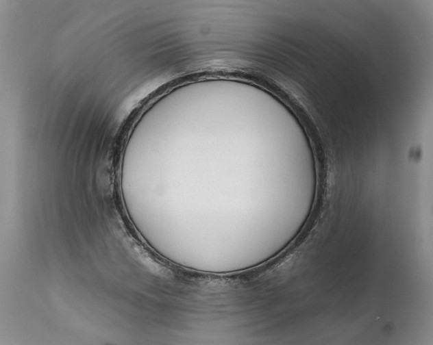 X0000112041018200908241557