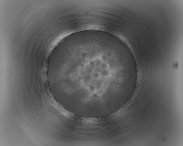 X0000112041019200908241557