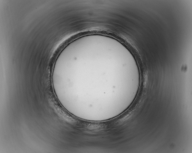 X0000112041021200908241557