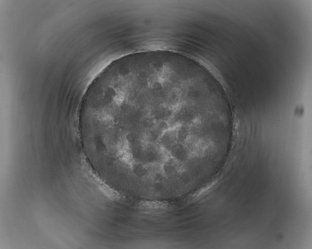 X0000112041023200908241557