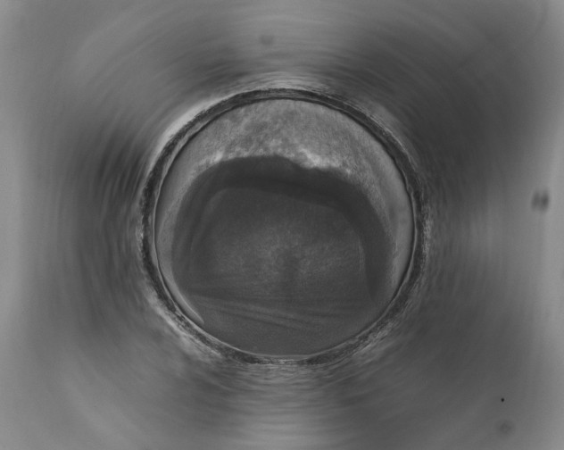 X0000112041024200908241557