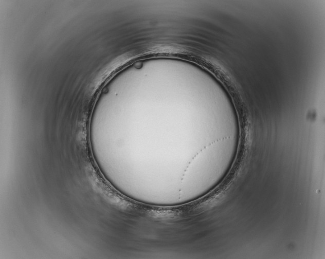 X0000112041025200908241557