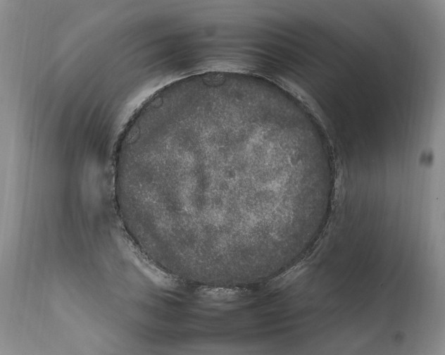 X0000112041027200908241557