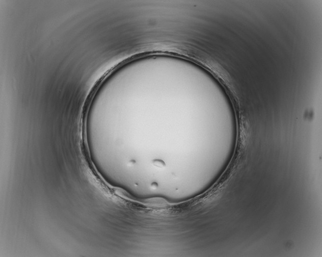 X0000112041028200908241557