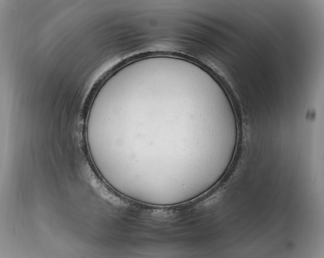 X0000112041029200908241557