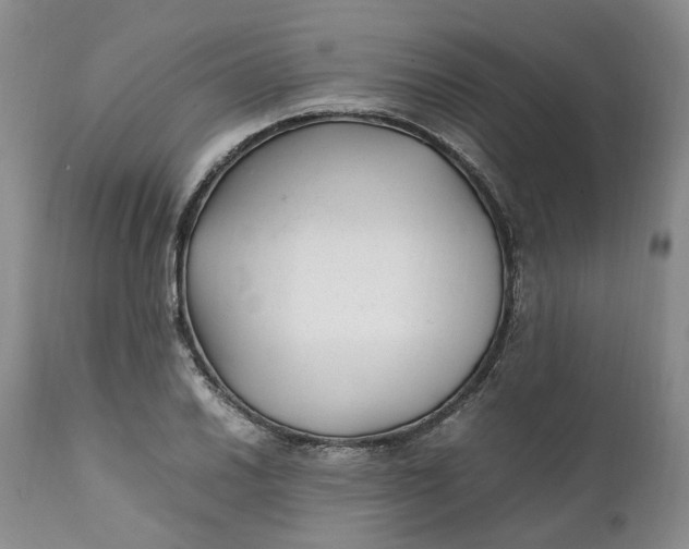 X0000112041030200908241557