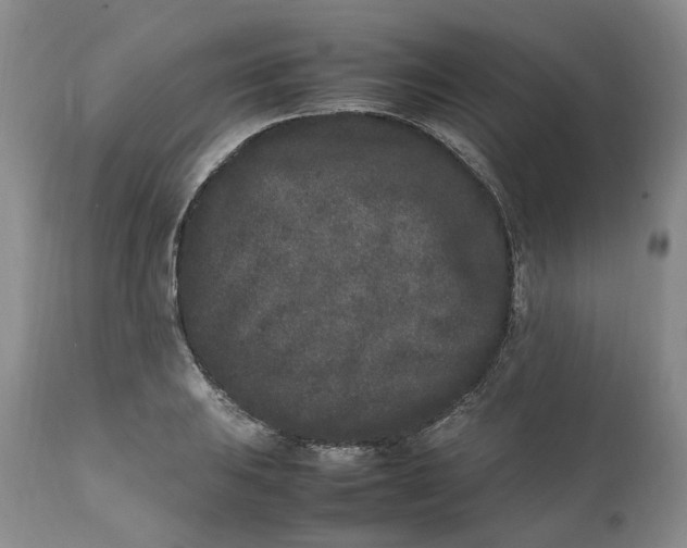 X0000112041031200908241557