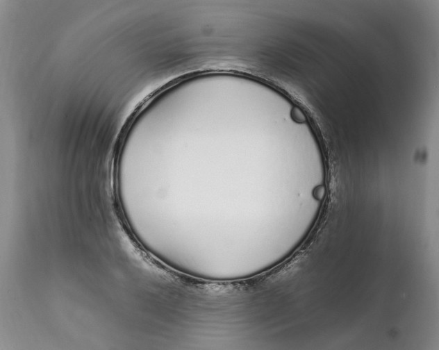 X0000112041032200908241557