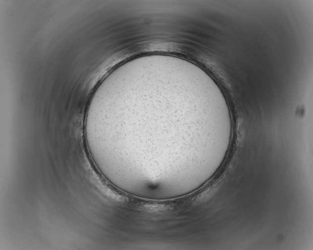 X0000112041033200908241557