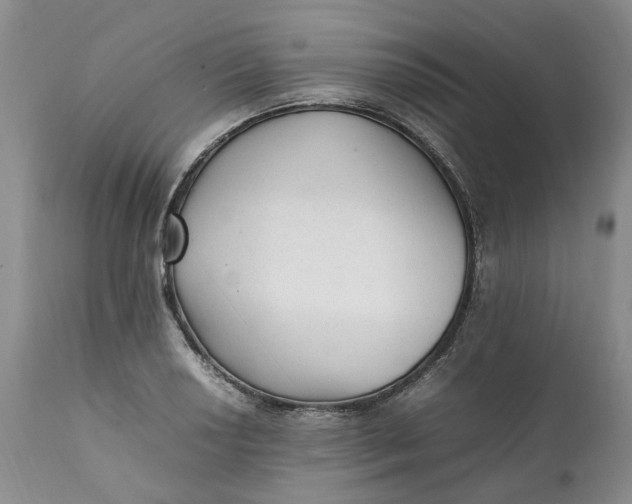 X0000112041034200908241557