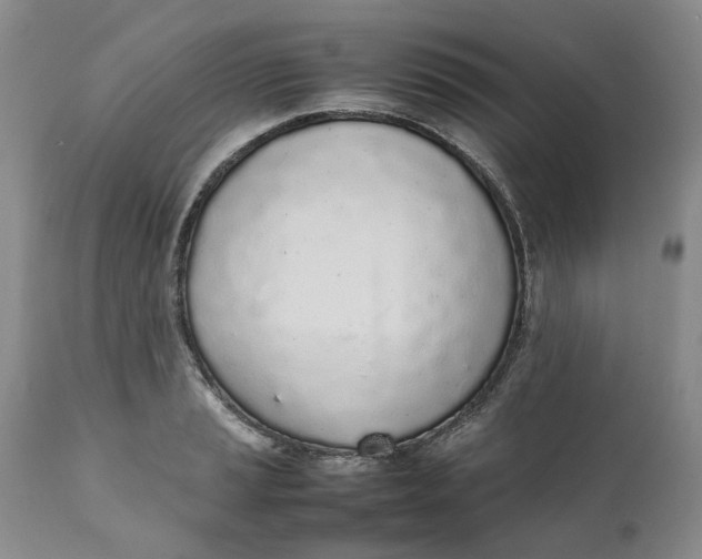 X0000112041037200908241557