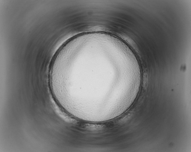 X0000112041039200908241557