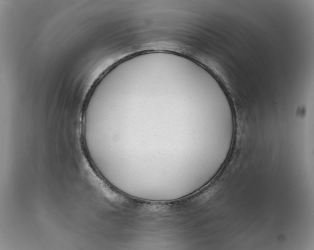 X0000112041040200908241557