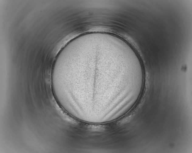 X0000112041041200908241557