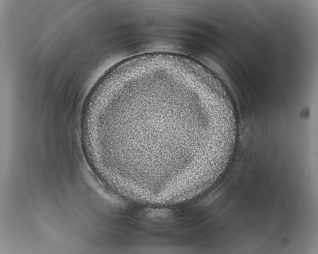 X0000112041043200908241557