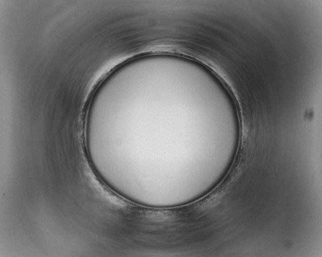 X0000112041045200908241557