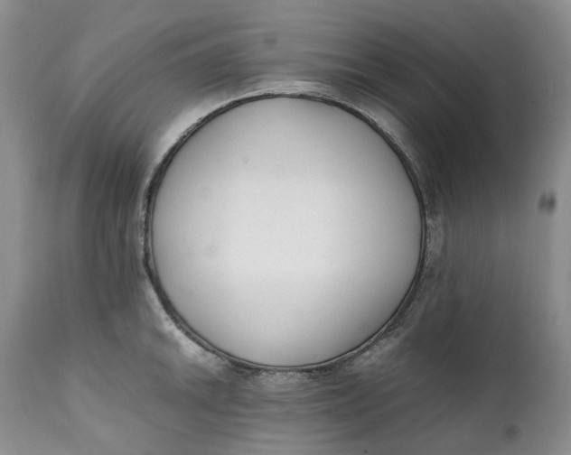 X0000112041046200908241557