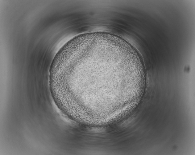 X0000112041047200908241557