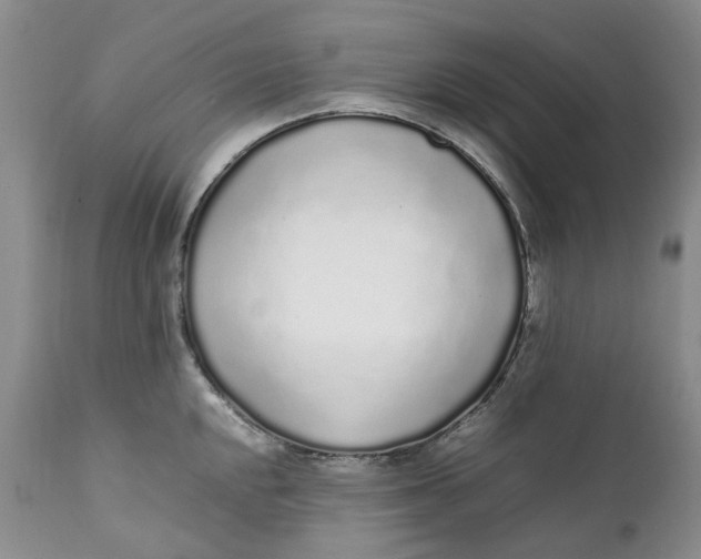 X0000112041048200908241557