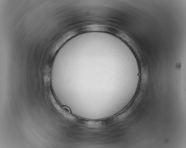 X0000112041049200908241557