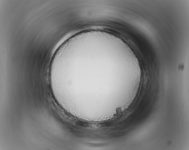 X0000112041052200908241558