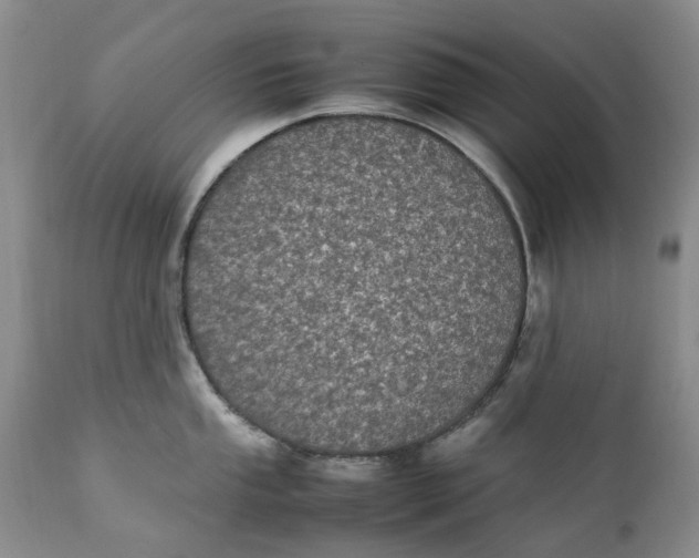 X0000112041053200908241558