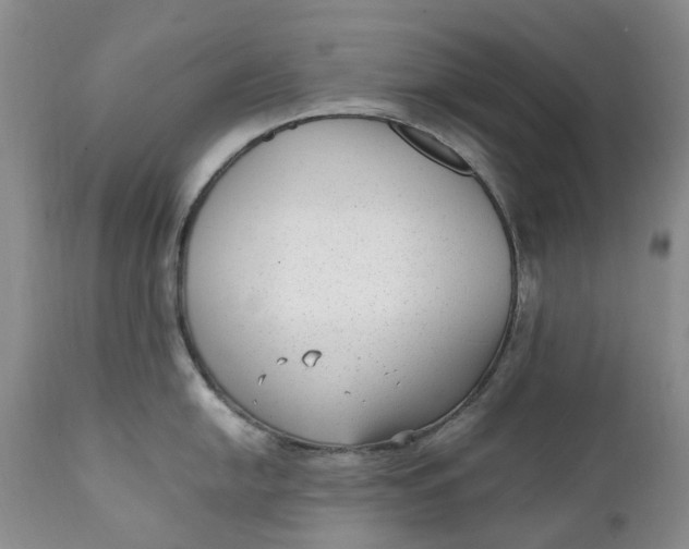 X0000112041054200908241558