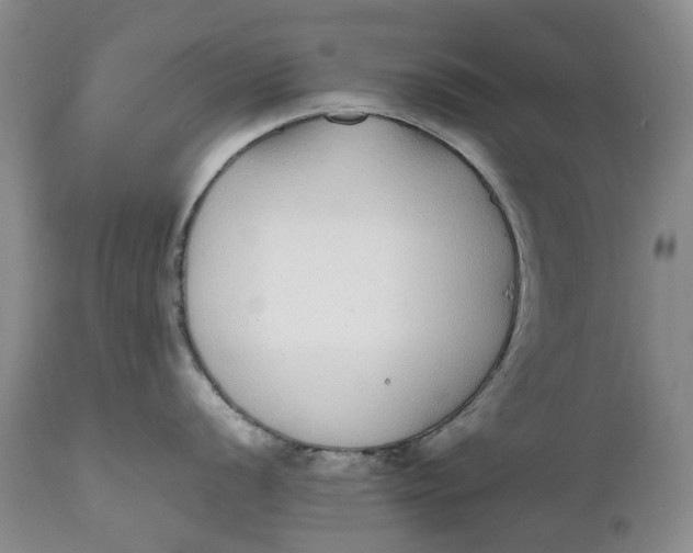 X0000112041056200908241558