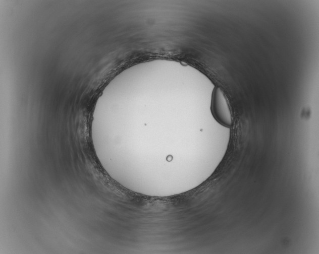 X0000112041058200908241557