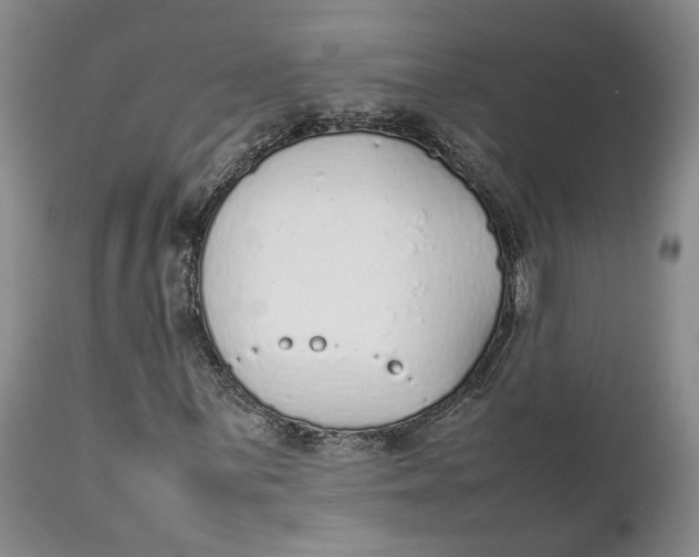 X0000112041059200908241557