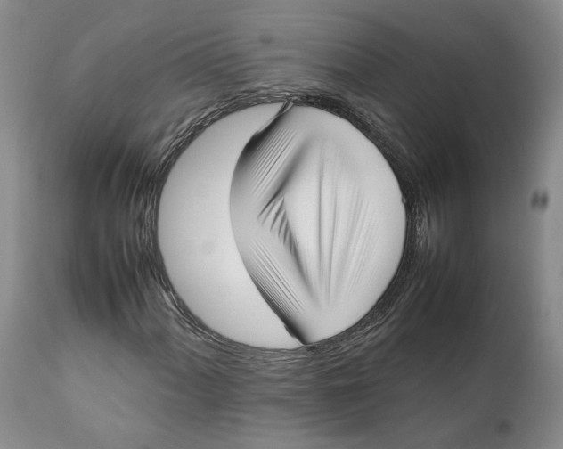 X0000112041060200908241557