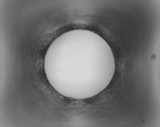 X0000112041061200908241557