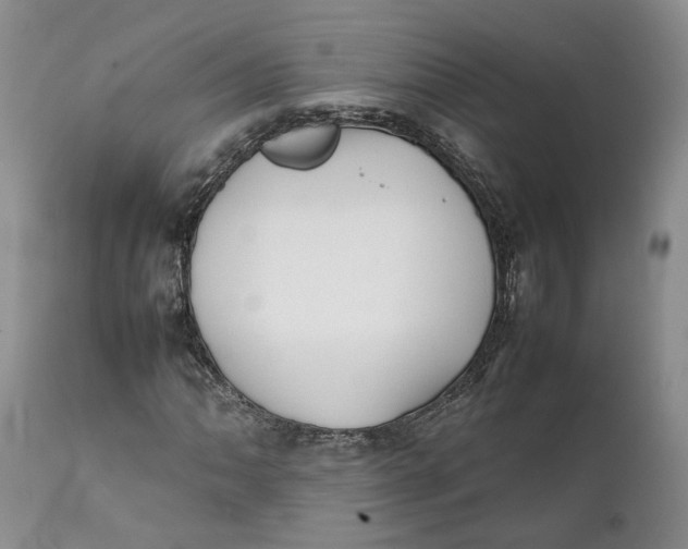 X0000112041062200908241557