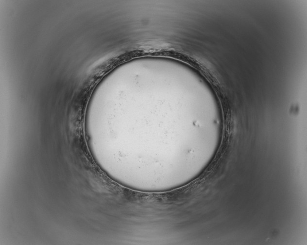 X0000112041063200908241557