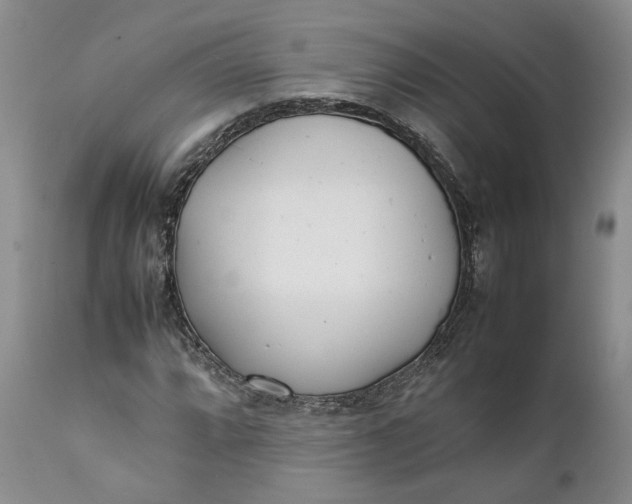 X0000112041064200908241557