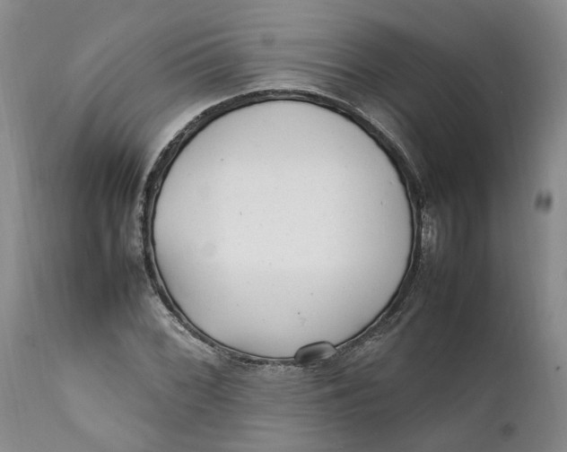 X0000112041068200908241557