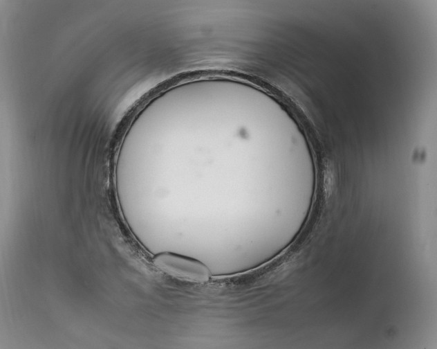 X0000112041069200908241557