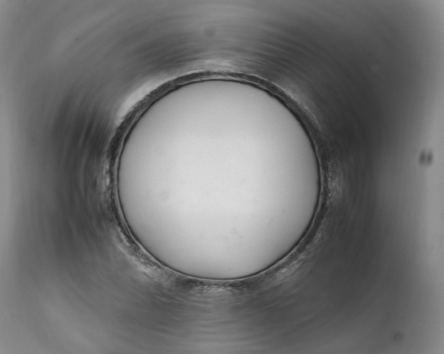 X0000112041070200908241557