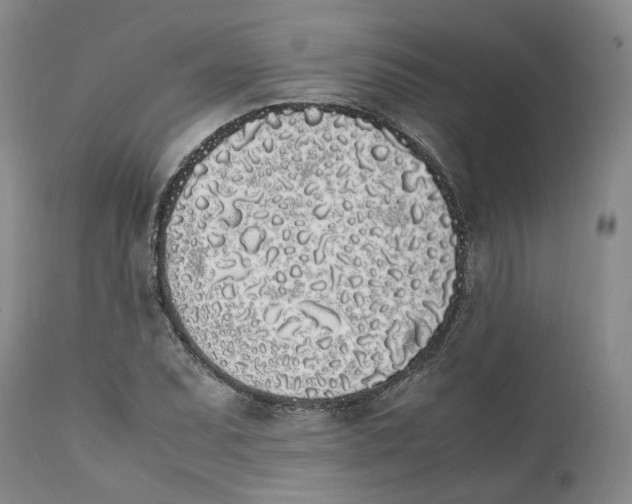 X0000112041071200908241557