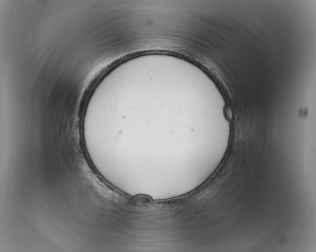 X0000112041072200908241557