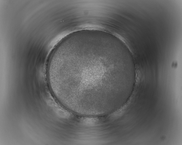 X0000112041074200908241557