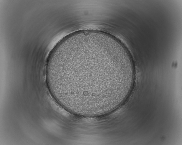 X0000112041075200908241556