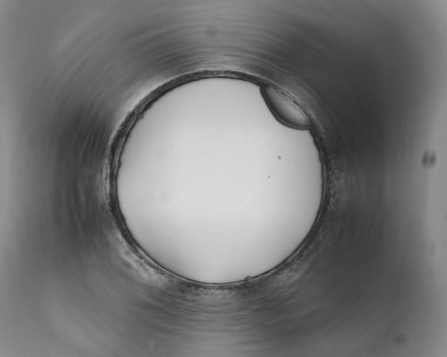 X0000112041076200908241556