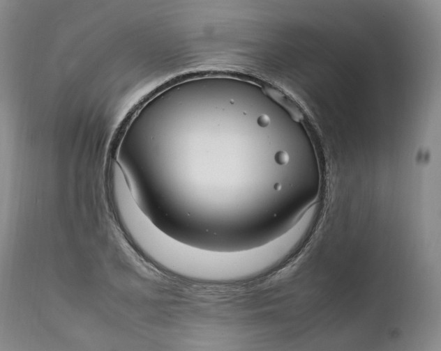 X0000112041077200908241556