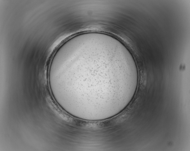 X0000112041078200908241556