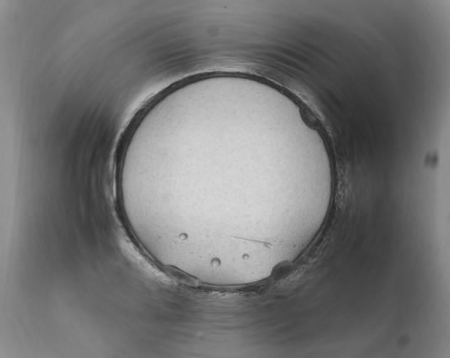 X0000112041080200908241556